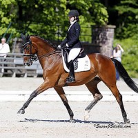 Angela Peavy and Lancelot Warrior earned the top Grade III combined score