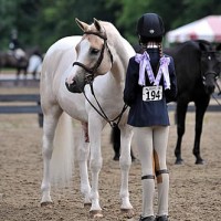 PonyJocks