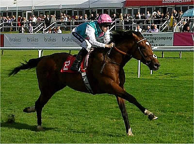 Royal Ascot Odds