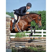 Brigadier, ridden by Hunt Tosh, won the Week II $2,500 USHJA National Hunter Derby. Flashpoint Photography