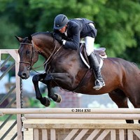 ©ESI Photography. Harold Chopping and Caramo pocketed another $5,000 Devoucoux Hunter Prix