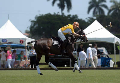 Gay Polo League to Make Debut at Bentley Scottsdale Polo Championships