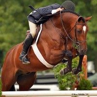 Christopher Payne and Truman