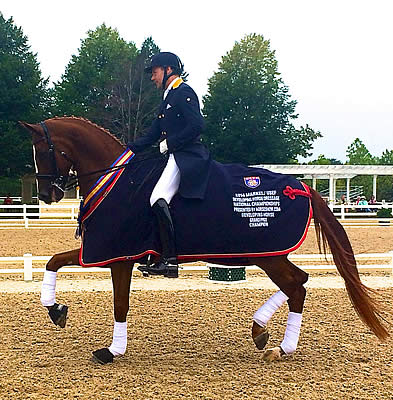 Everglades Dressage’s Donatus Wins 2014 Markel/USEF Developing Horse Grand Prix