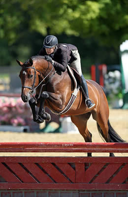 Tracy Fenney and MTM Inquisitive Collect 90, 92 for Win