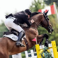 Hugh Graham and Airborne claimed the $35,000 CSI2* Henry Equestrian Plan Open Welcome