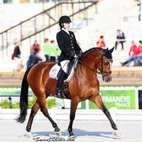 Rebecca Hart and Schroeter's Romani