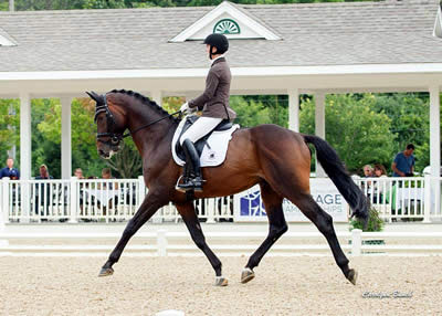 Hemmingway and Sanceo Are Unbeatable at USEF Young & Developing Horse Dressage Nat’l Championships