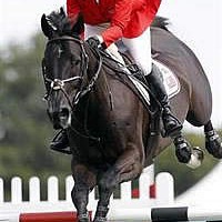 Beezie Madden and Cortes 'C' (FEI/ Action Images)