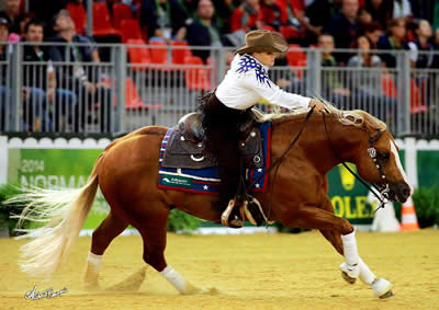 US Reining Team Defends Gold Medal
