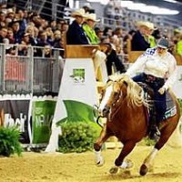 Mandy McCutcheon & Yellow Jersey (Andrea Bonaga)
