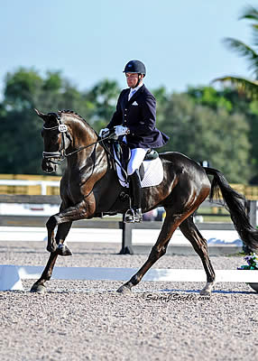 Endel Ots Prepares to Compete at USEF National Young Horse Championships