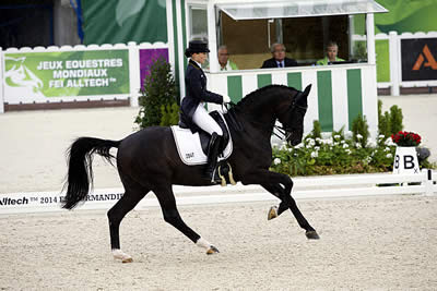 Germany Takes the Early Lead in Dressage