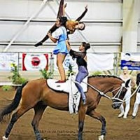 "Woodside of Oz" - A Team National Champions (Lynne Owen/VaultingPhotos.com)