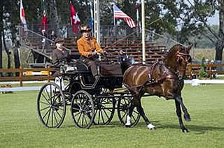 US Drives into Top 25 on First Day of 2014 FEI World Driving Championships for Singles