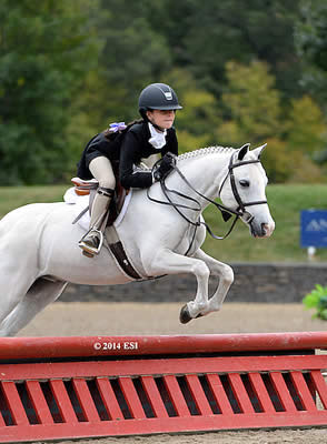 Pony Jocks Star at Marshall & Sterling Insurance Finals