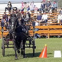 Donna Crookston and RG Cowboy's Black Cadillac (Janos and Zoltan Varaljai)