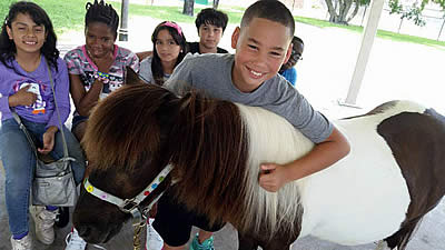 Horse Around at the “Horses Helping People” Family Resource Day