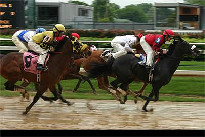 Online Casinos and Horse Racing