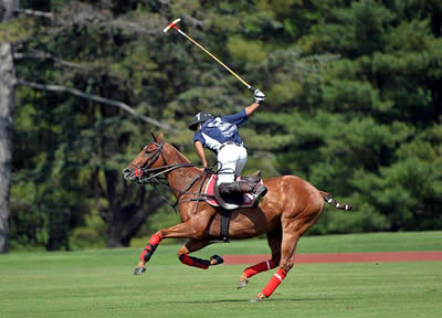 Haviland Hollow Charity Cup to Benefit Pegasus and the Rider’s Closet