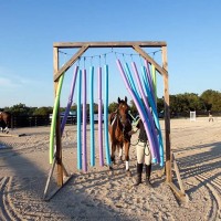 Retraining Demonstration during Sips ‘N Saddles