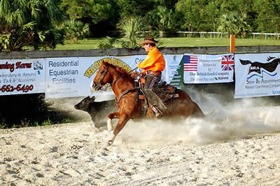 Rick Steed Ropes In Crowd at the Cow Horse Extravaganza in Jupiter