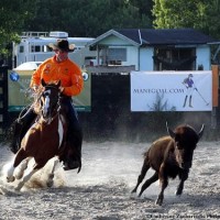 Rick Steed circles a buffalo. Photo by Catherine Zachariadis