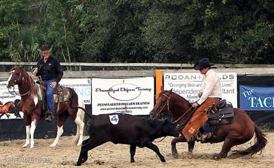 Come Out for the Cow Horse Extravaganza Series Finale in Jupiter This Weekend