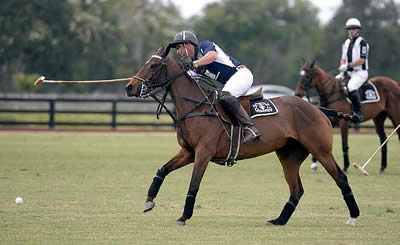 Gay Polo League Makes Debut at Bentley Scottsdale Polo Championships: Horses & Horsepower