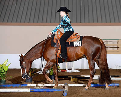 Florida Gold Coast Quarter Horse Shows Return to Tampa December 27-31, 2014