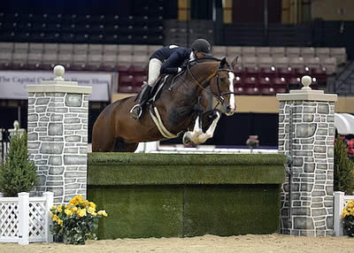 Tara Metzner and Come Monday Conquer WCHR Pro Challenge at Capital Challenge Horse Show