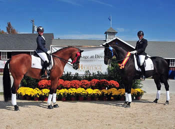 Focus on the Fundamentals and Teamwork Brings Results at Dressage at Devon CDI