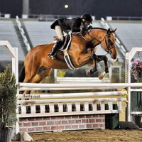 Kelley Farmer pilots Why, owned by DL Glefke and Kensey LLC, over an oxer en route to the win in the $15,000 USHJA International Hunter Derby. Flashpoint Photography.