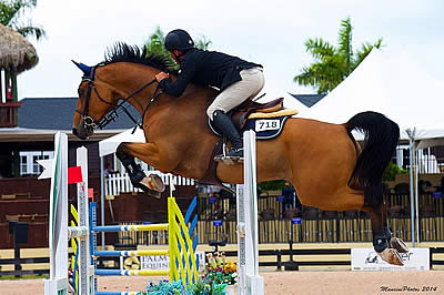 Todd Minikus Jumps to Victory at the Washington International Horse Show