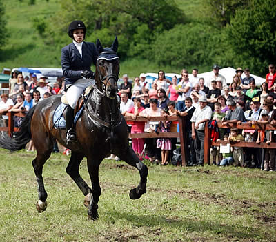 Equestrian Sport Productions to Host 2014 AIEC Student Rider Nations Cup World Final