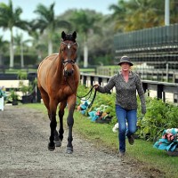 Ozzy Cooper, ridden by Angela Peavy