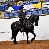 Elis GV - National Horse of the Year (Jon McCarthy Photography)