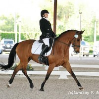 Rebecca Hart and Schroeter's Romani