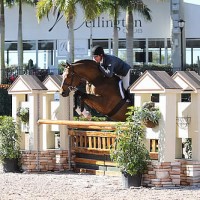 Peter Pletcher and Thanks for the Gold