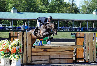 Changes to Platinum Perf. Hunter Prix Final & Diamond Mills Hunter Prix Final