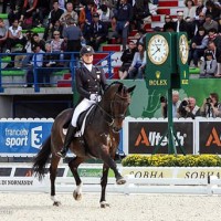 Adrienne Lyle and Wizard at the 2014 Alltech FEI World Equestrian Games. Photo by Rebecca Walton.