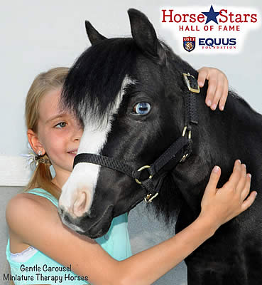 Therapy Horse Magic Inducted into the Horse Stars Hall of Fame