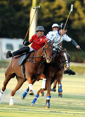 Alegria, Valiente, Orchard Hill and Audi/Millarville Win C. V. Whitney Cup Opener