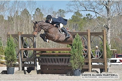 Hunter Derby Winners Announced for Week II at Gulf Coast Winter Classic Circuit