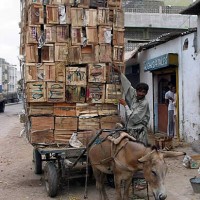 This exhausted and overloaded donkey in Pakistan is an example of the animals Brooke USA is working to save.