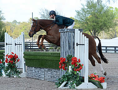 Robert Lee Victorious in $50,000 East Meets West Hunter Challenge