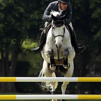 Matthew Metell and Cyon Z