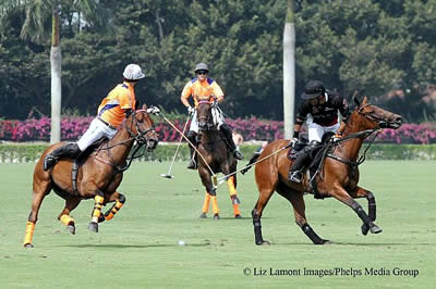 One Point Lands Audi and Orchard Hill in USPA Piaget Gold Cup Finals