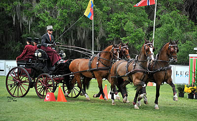 2015 USEF National Horse and Pony Driving Champions Named at Live Oak International