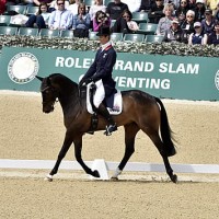 William Fox-Pitt and Bay My Hero